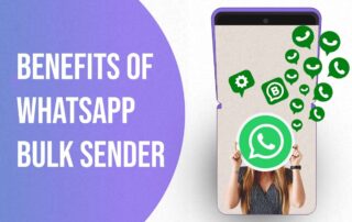 Use WhatsApp Bulk Sender to benefit from its features