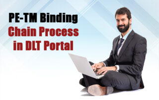 PE-TM Binding Chain Process in DLT